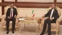 Iran, Pakistan FMs discuss developing relations in Tashkent
