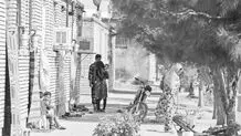تربت‌ جام؛ منطقه‌ای نزدیک اما دور از ما
