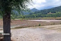 تصاویری زیبا از بهار در روستایی در رودبار+عکس