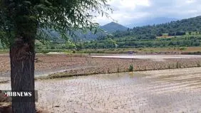 تصاویری زیبا از بهار در روستایی در رودبار+عکس