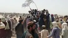 طالبان فراخوان داد

