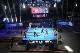 دلایل لغو همکاری سرمربی کوبایی با تیم ملی بوکس ایران
