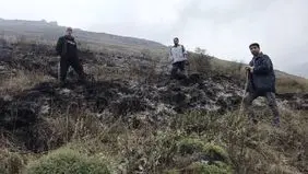 آخرین جزییات آتش‌سوزی در چالوس اعلام شد / ۱۵ هکتار مرتع تبدیل به خاکستر شد 