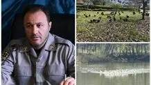 انتقال موقت پرندگان باغ پرندگان لویزان به مازندران برای حفاظت در شرایط جنگی