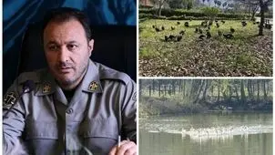 انتقال موقت پرندگان باغ پرندگان لویزان به مازندران برای حفاظت در شرایط جنگی