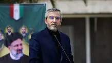 باقری: مشارکت ایرانیان خارج از کشور در دور دوم انتخابات افزایش یافته است