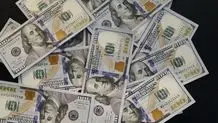 قیمت دلار و یورو امروز دوشنبه ۲۲ تیر ۱۴۰۵ / دلار چند؟  + جدول 