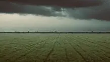 پرژام پارسی در گذر سکوت