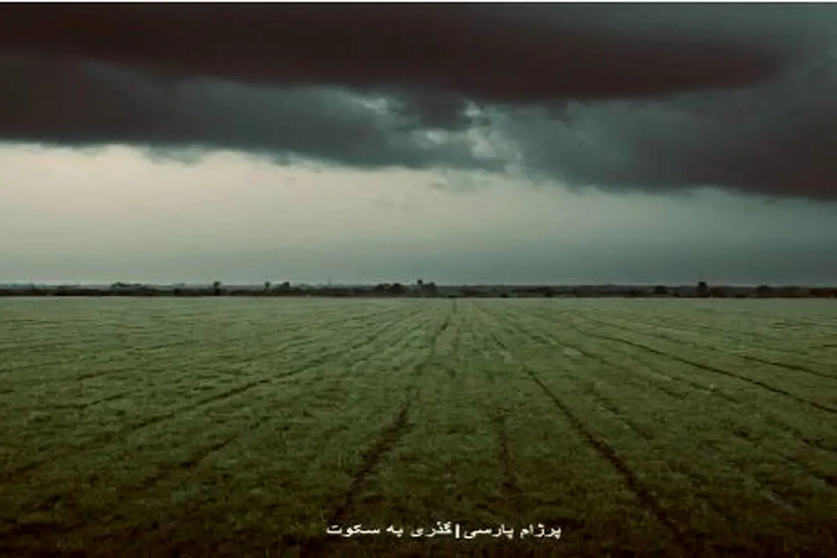 پرژام پارسی در گذر سکوت