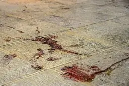 شهید شاهچراغ چه کسی بود؟

