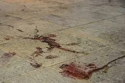 شهید شاهچراغ چه کسی بود؟


