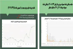 ایست شورا به ویرانی تهران
