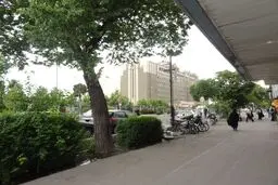  حادثه تیراندازی مقابل مجلس به هیچ وجه امنیتی نبود

