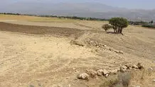 یک ماه مهلت برای ثبت‌نام دریافت زمین برای خانواده‌های دارای ۴ فرزند زیر ۲۰ سال
