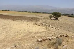 تعرض به عرصه تپه باستانی «مورد راز»