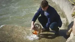 توصیه سازمان محیط زیست درباره ماهی گلی