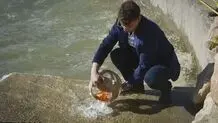 توصیه سازمان محیط زیست درباره ماهی گلی