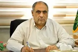خرید ۱۰ میلیون و ۳۰۵ هزار تن گندم در کشور