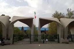 فعالیت سیاستی استادان دانشگاه
