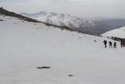 هشدار زرد هواشناسی برای تهران و البرز: فردا کوه نروید

