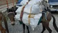 تحویل نامه با قاطر