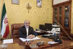 برگزاری نشست تجاری ایران و ایتالیا/سفیر ایران فرصت‌های اقتصادی فی‌مابین را تبیین کرد

