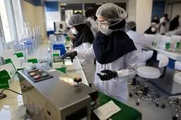 Iranian researchers work on producing kits for Dengue fever