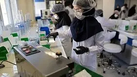 Iranian researchers work on producing kits for Dengue fever