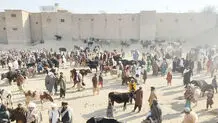 طالب به‌مثابه قربانی

