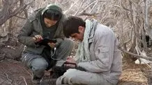 شرایط کنشگران محیط زیست پس از جنگ بدتر شد + گفتگو با سه فعال درباره امید به ادامه دادن