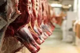 حذف برخی اقلام از فهرست کالاهای اساسی