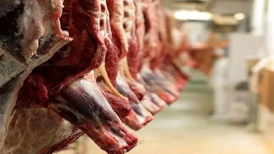 حذف برخی اقلام از فهرست کالاهای اساسی
