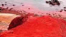 گنج سرخ هرمز در خطر؛ لزوم حفاظت از خاک بی‌بدیل جزیره‌ای در خلیج فارس
