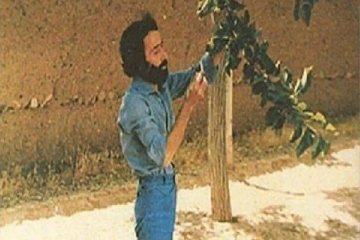 سهراب سپهری عاشق سه تیم فوتبال ایران