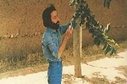 سهراب سپهری عاشق سه تیم فوتبال ایران