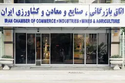 دولتی بازی در بخش خصوصی

