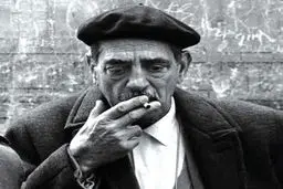 
میل مبهم زندگی