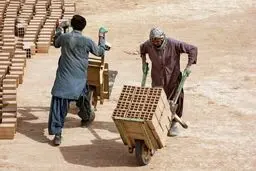 به‌کارگیری اتباع غیرمجاز توسط پیمانکاران در شهرداری تهران
