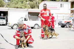 انسان‌ها می‌کشتند، آنها نجات می‌دادند