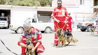 انسان‌ها می‌کشتند، آنها نجات می‌دادند