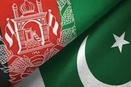 طالبان از پاکستان رسما شکایت کرد

