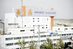 نیمه‌جان، اما خواستنی 
