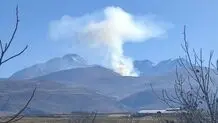 جنگل هیرکانی ابر شاهرود دچار حریق گسترده شد