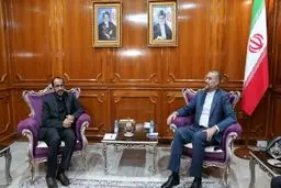 دیدار مذاکره کننده ارشد دولت نجات ملی یمن با امیرعبداللهیان
