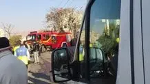 جان‌ باختن کارگر جوان در حین هرس درختان در تبریز

