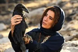 بی‌عدالتی سینماهای حوزه هنری ادامه دارد 