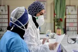 بازداشت ضارب ضارب پرستار یاسوجی

