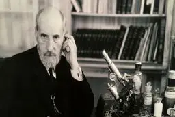 مغزی در جست‌وجوی خاستگاه خویش
