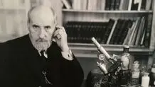 مغزی در جست‌وجوی خاستگاه خویش
