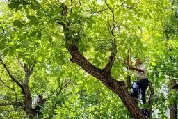 مرگ عجیب آخر شهریوری همدانی ها 